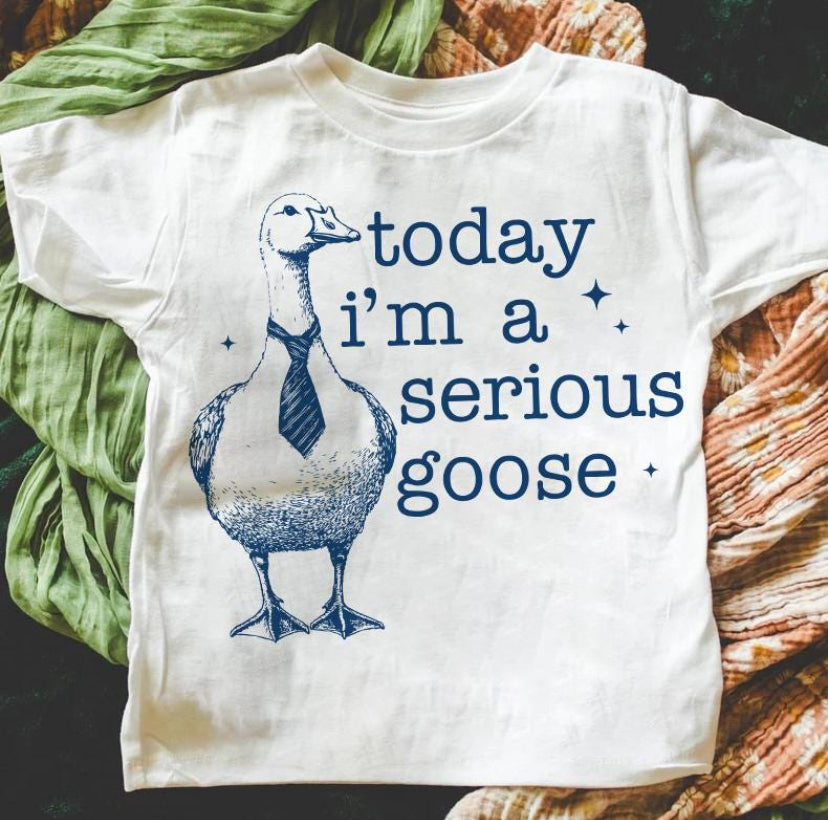 Today I’m a Serious Goose
